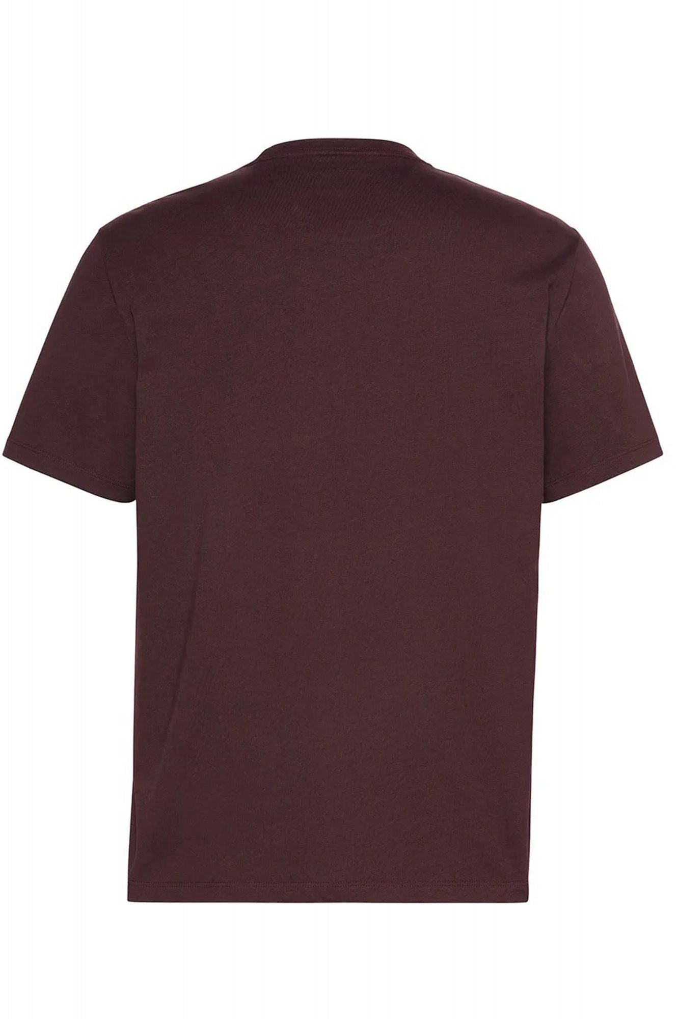 CALVIN KLEIN HERO MONOLOGO TEE 20S en color MARRON (2)