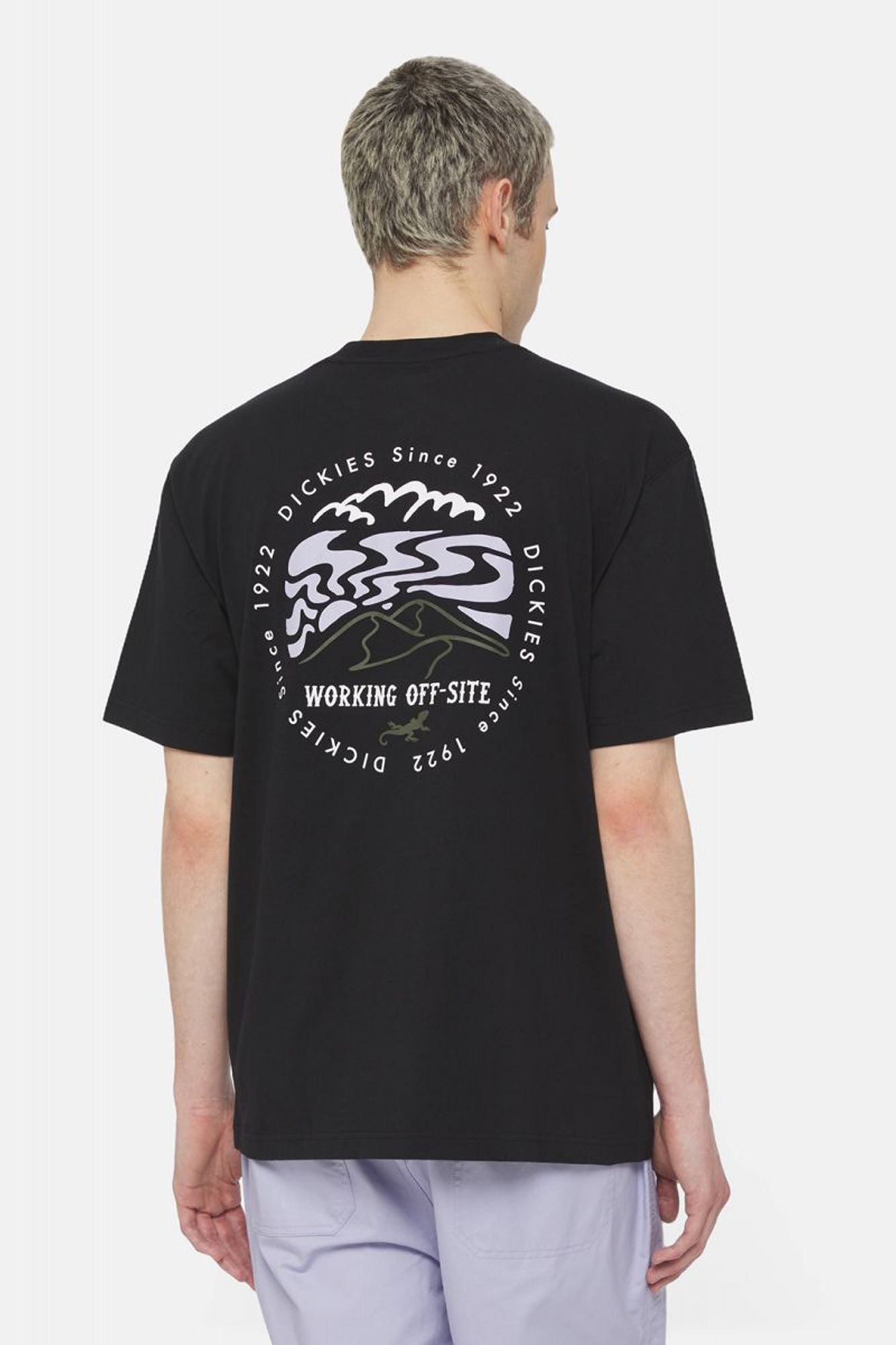 DICKIES SS STANARDSVILLE TEE en color NEGRO (3)