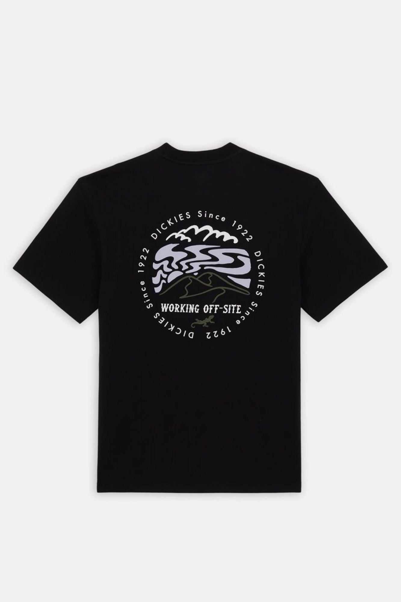 DICKIES SS STANARDSVILLE TEE en color NEGRO (4)