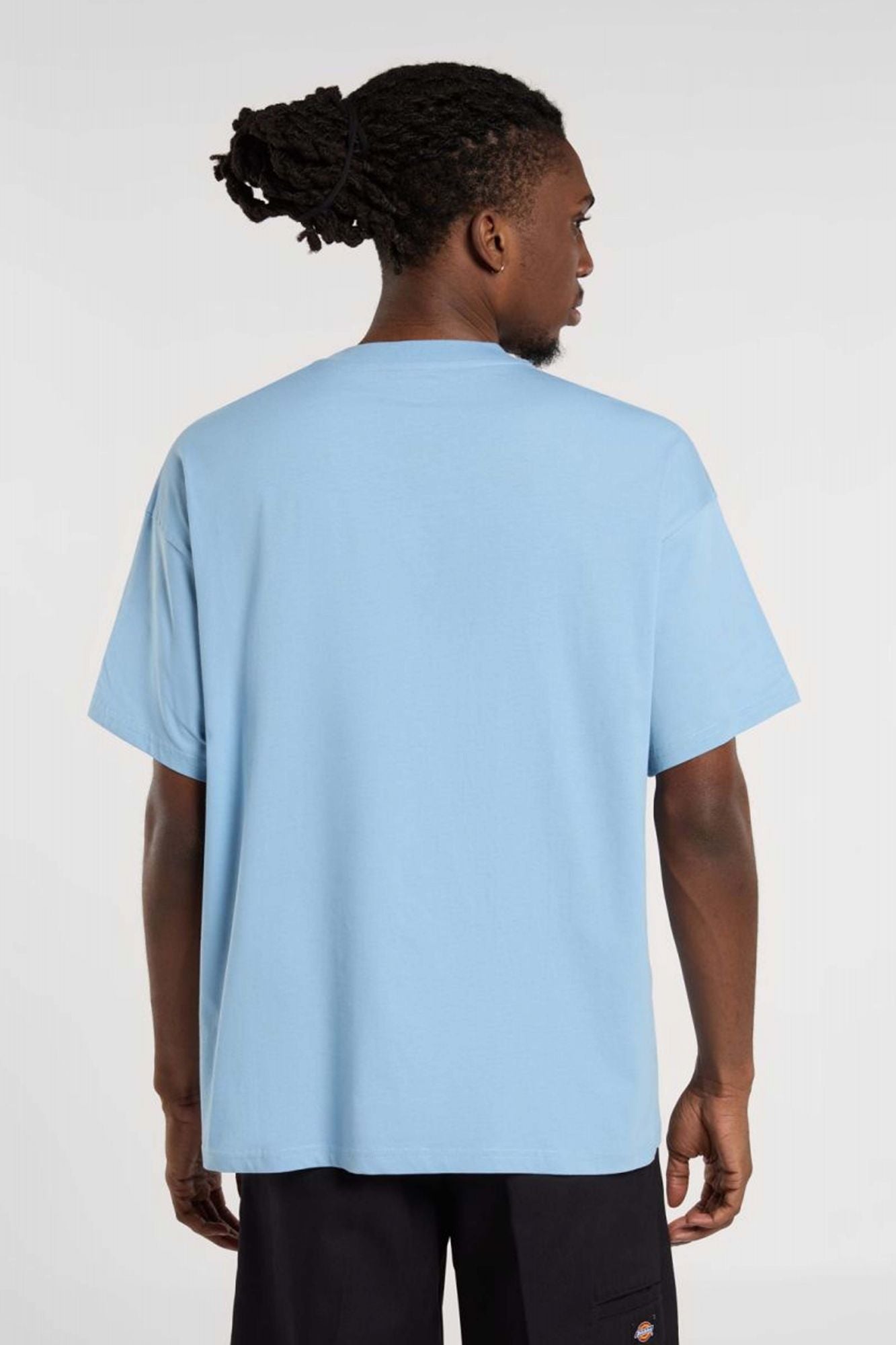 DICKIES ENTERPRISE en color AZUL (3)
