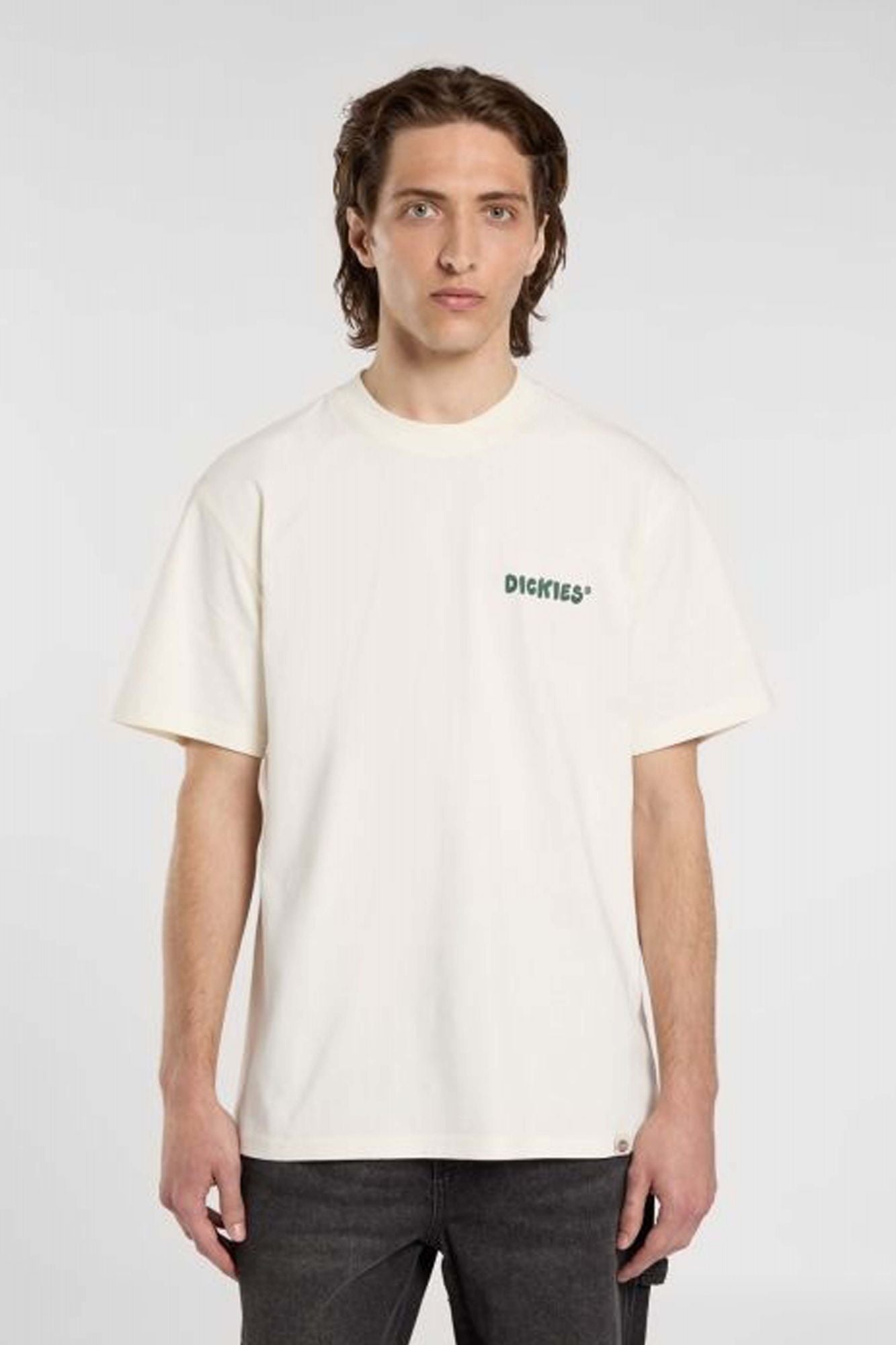 DICKIES GORDONSVILLE en color BLANCO (1)