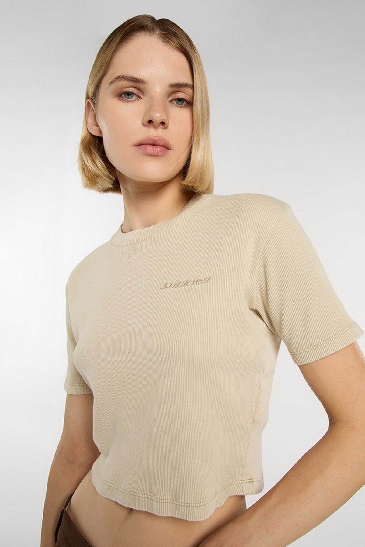 DICKIES DK0A866FL441 en color MARRON CLARO (3)