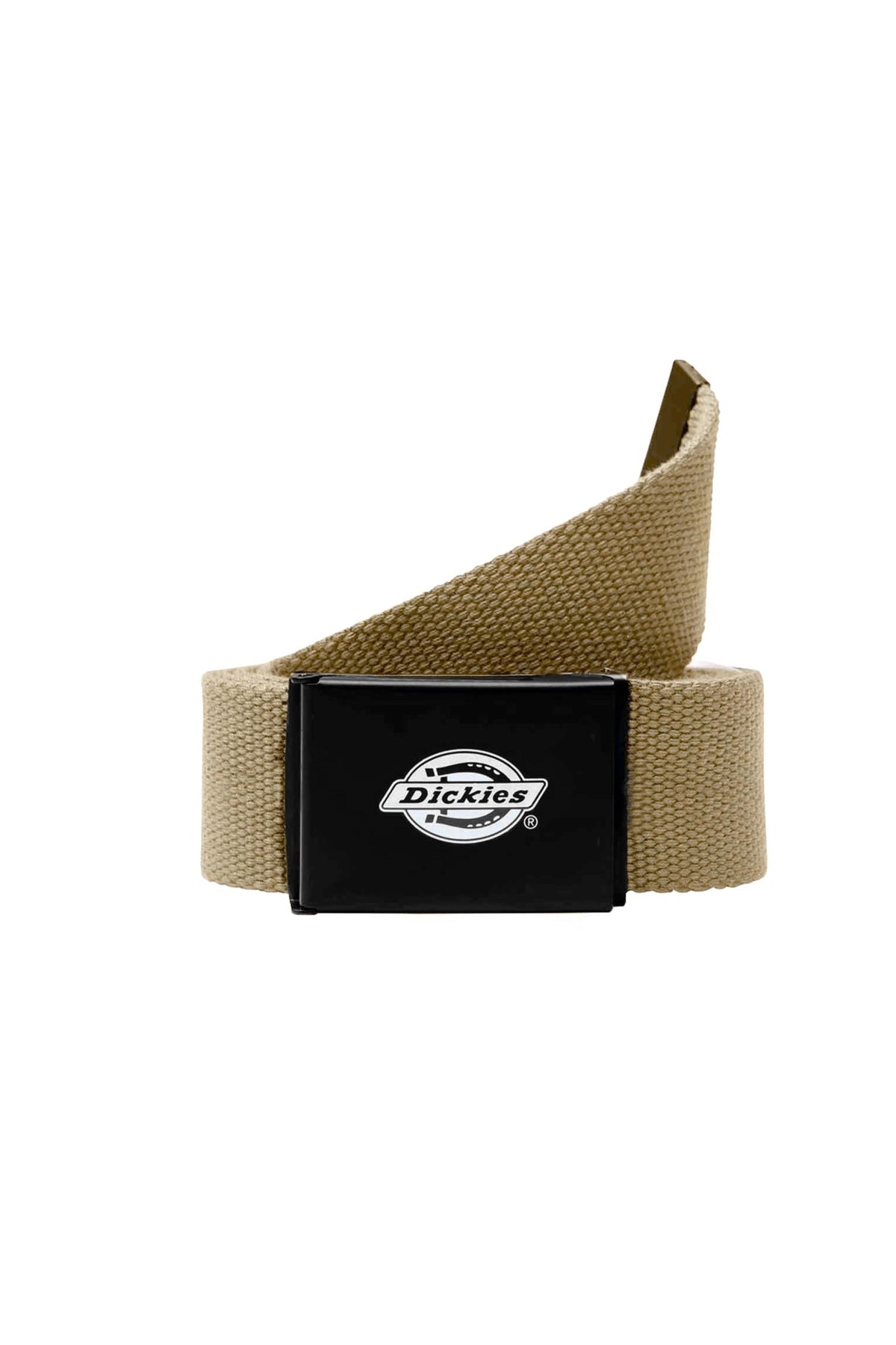 DICKIES DK0A4X7EKHK1 en color BEIS (1)