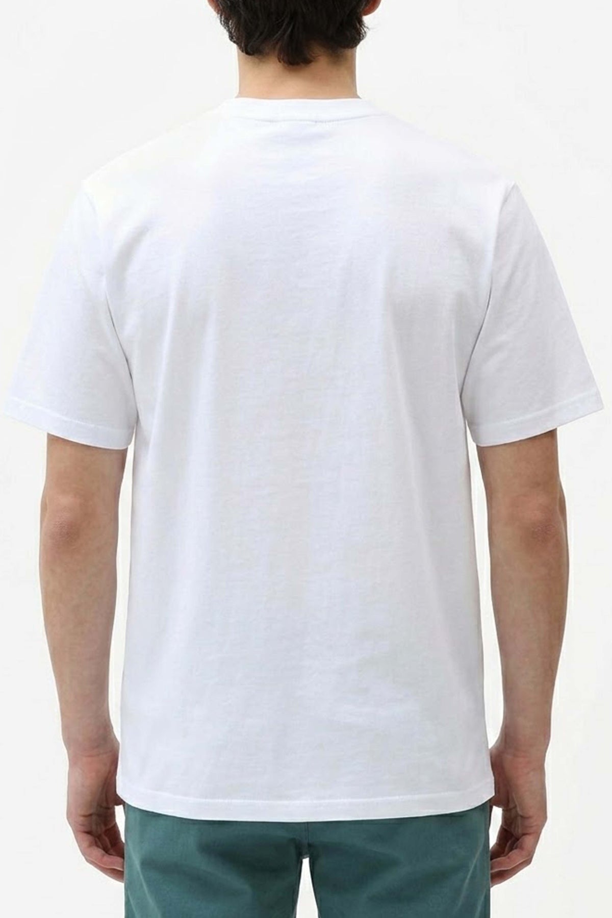 DICKIES ICON SS TEE en color BLANCO (2)