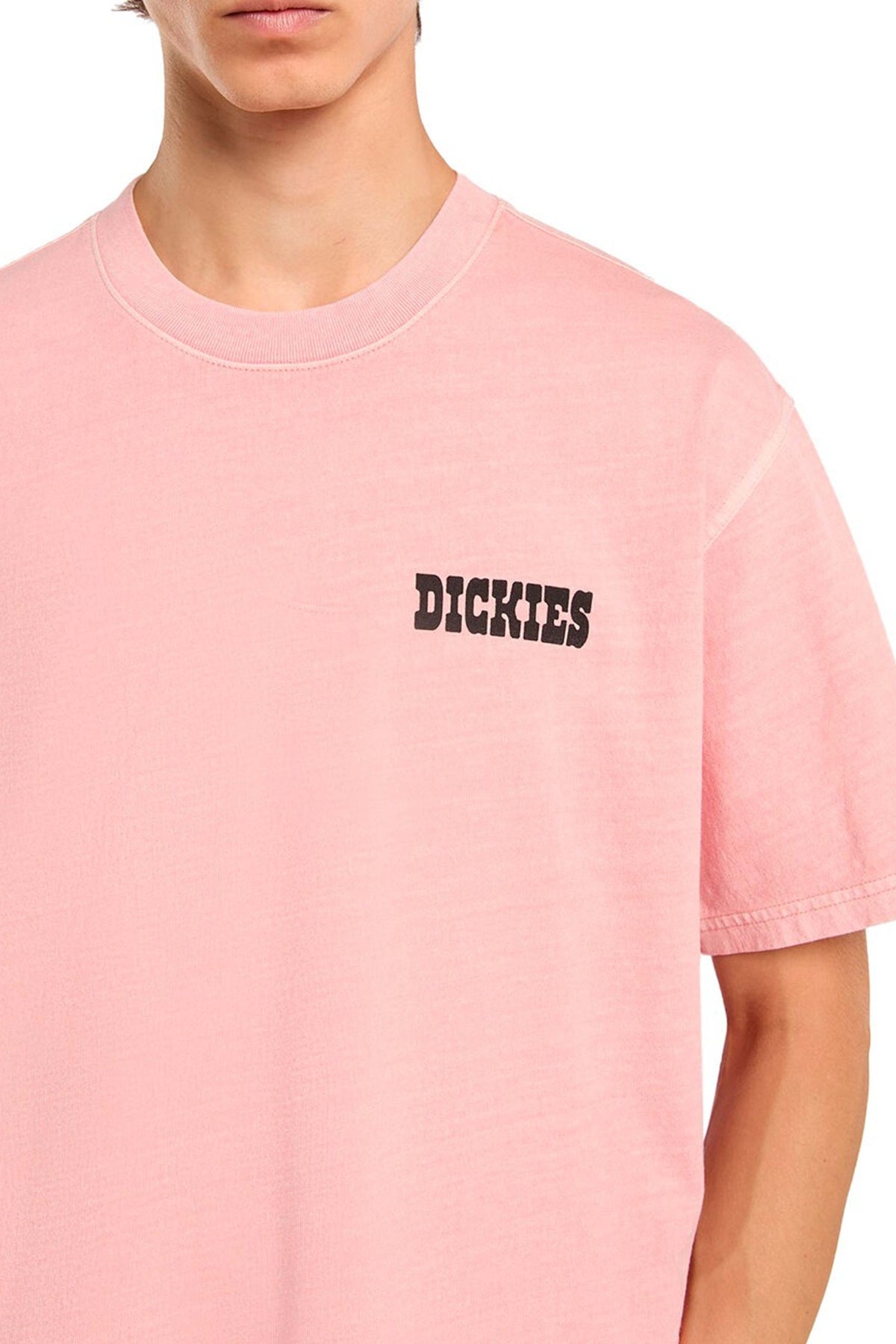 DICKIES BUCHTELL SS TEE en color ROSA (3)