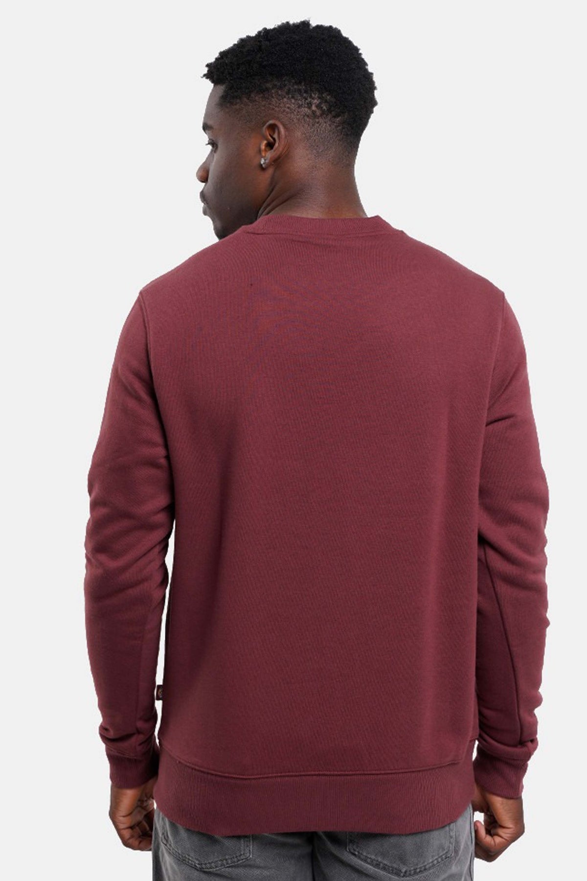 DICKIES DK0A4XCEL161 en color BURDEOS (2)