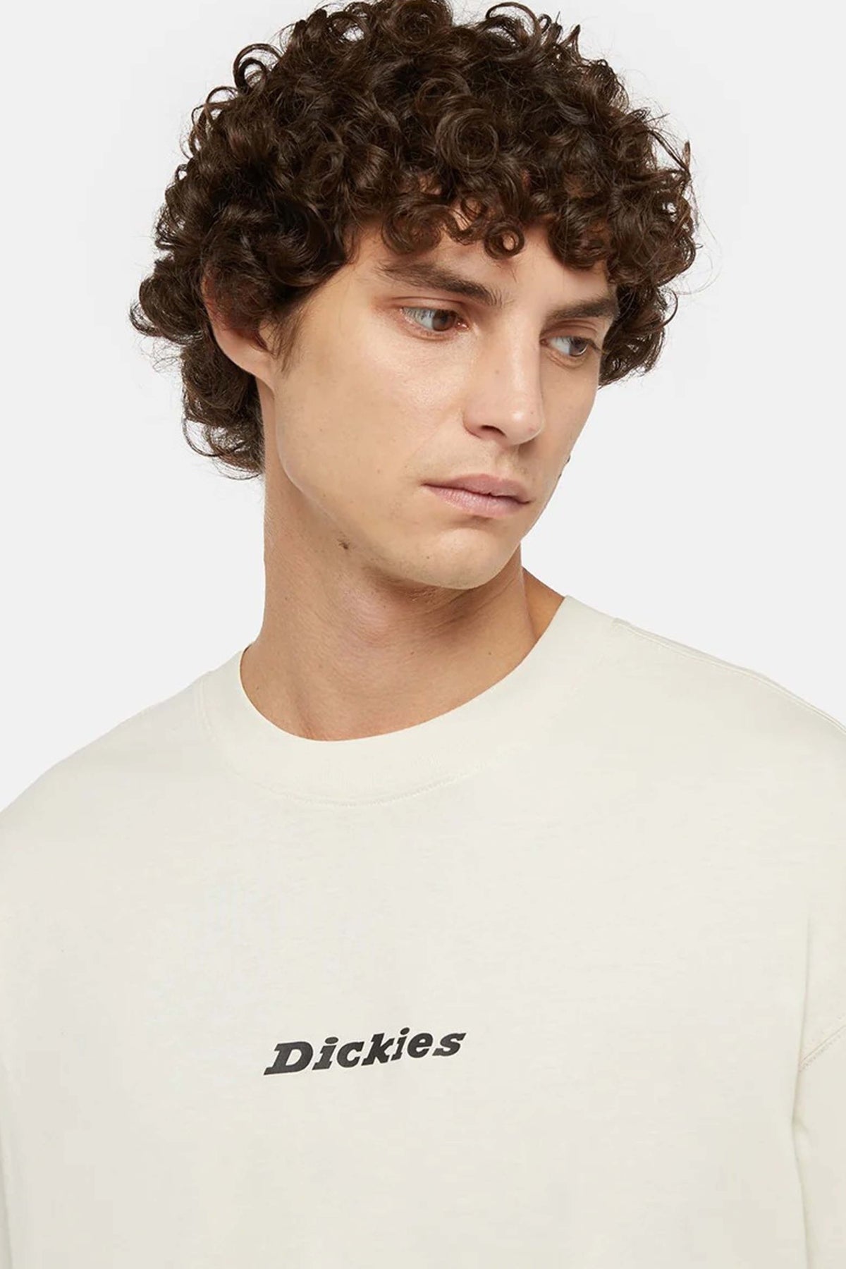 DICKIES ENTERPRISE TEE SS WHIT en color BLANCO (3)