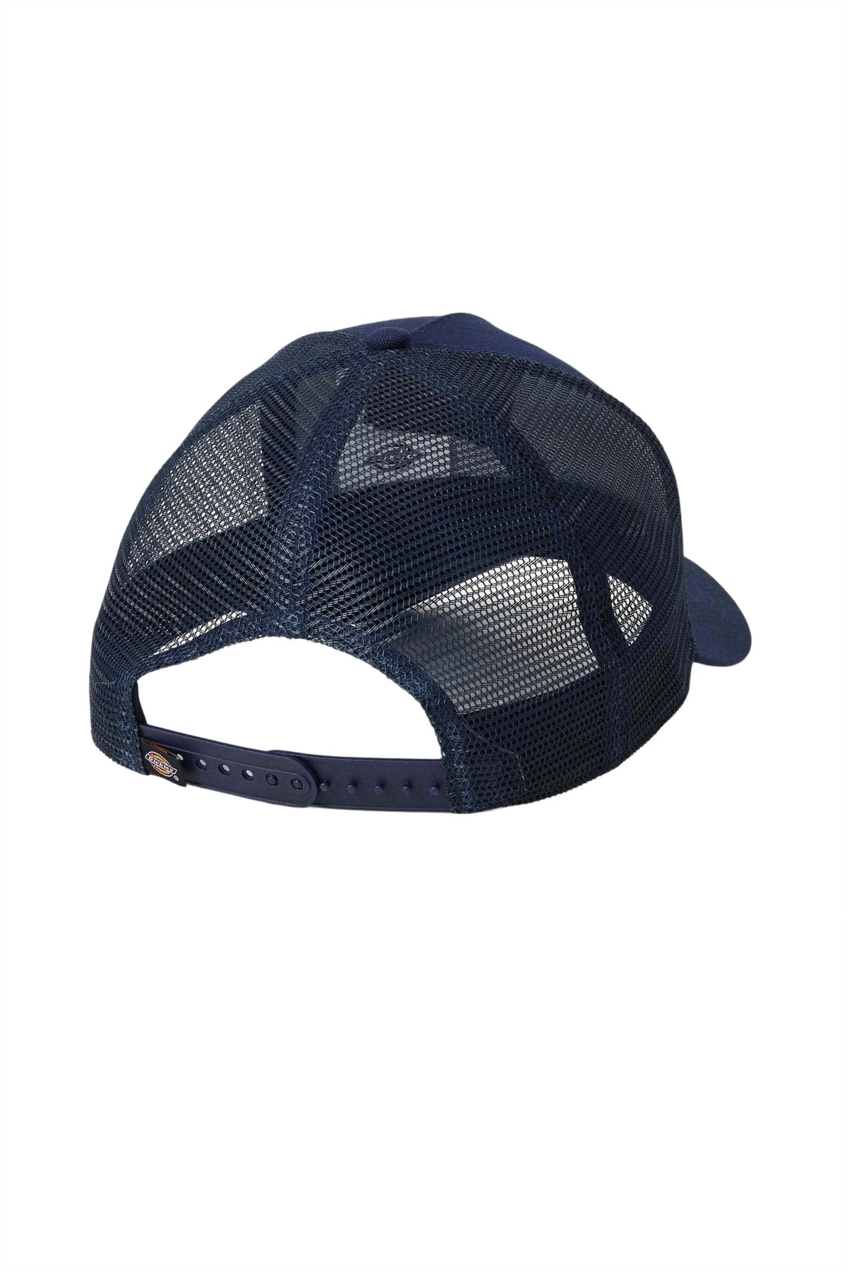 DICKIES DK0A4YV3L181 en color AZUL (2)