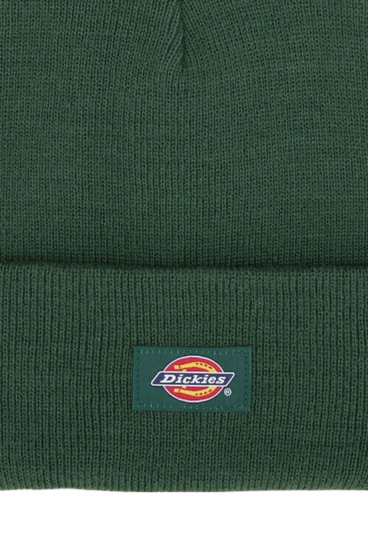 DICKIES GIBSLAND BEANIE en color VERDE (3)