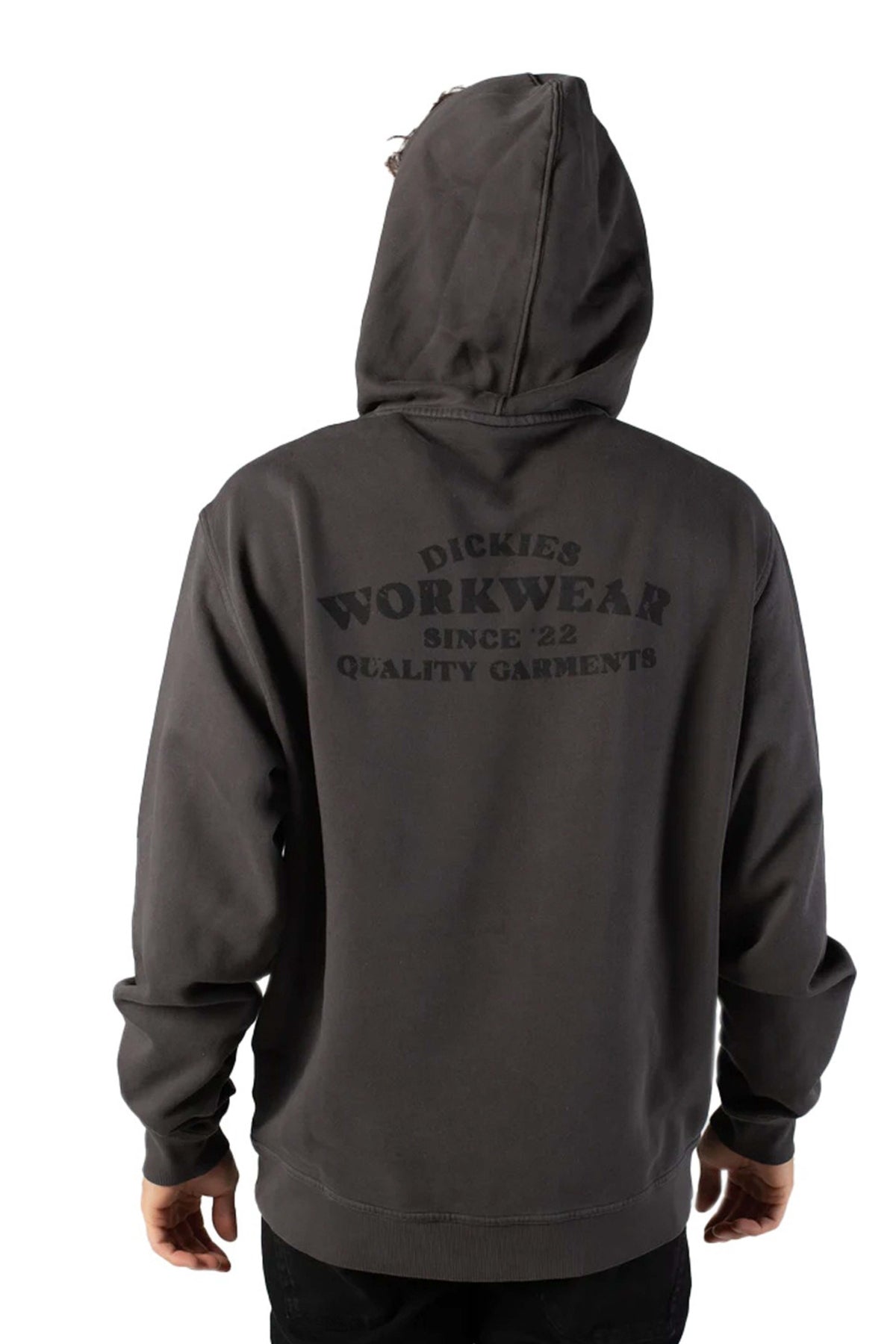 DICKIES DK0A87NQBLK1 en color GRIS (2)