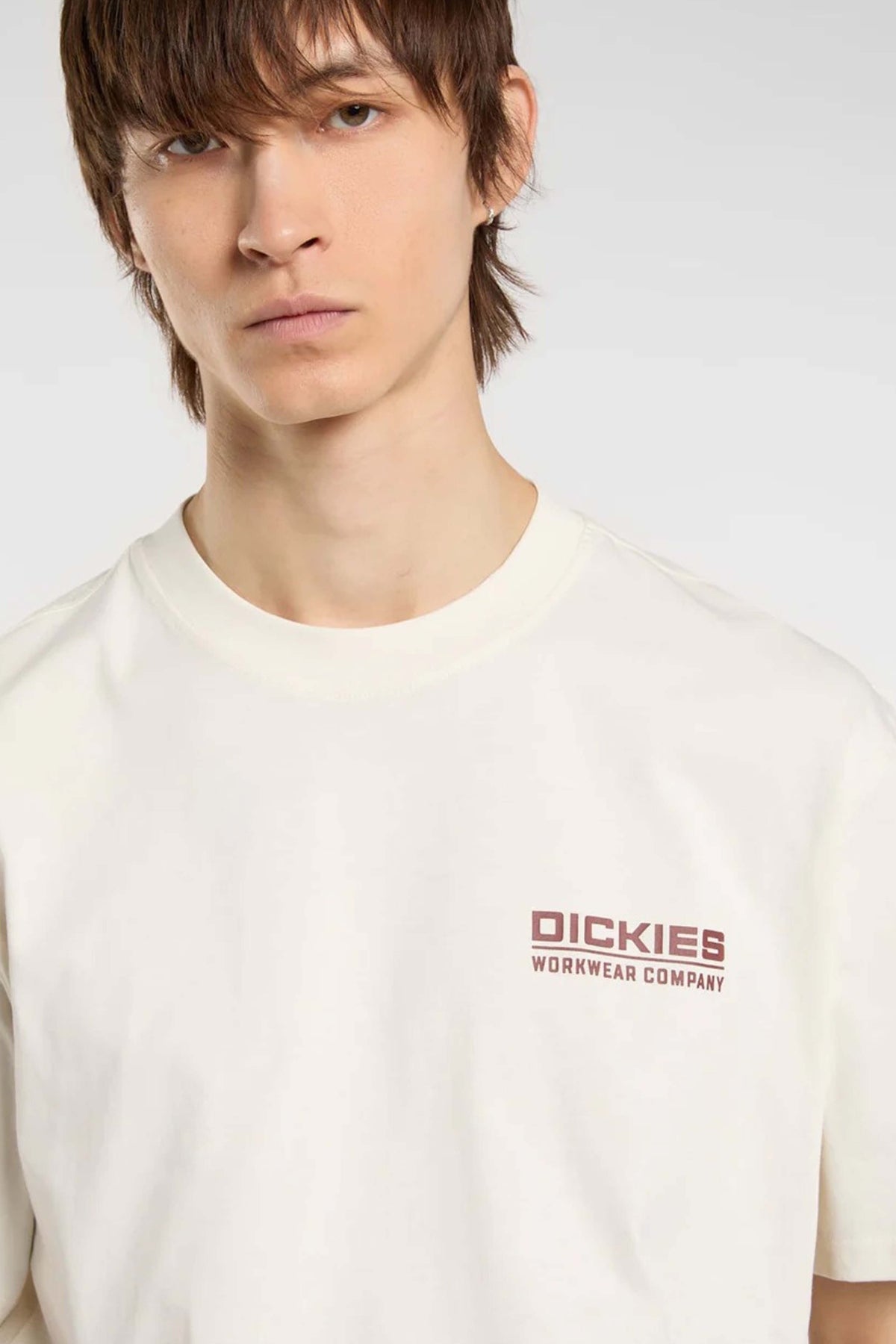 DICKIES DK0A87QKC481 en color BEIS (3)