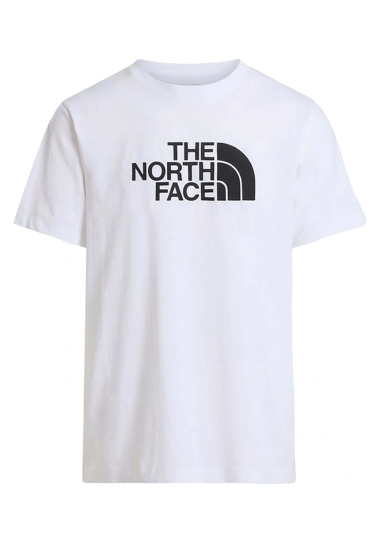 THE NORTH FACE CAMISETA M EVOLUTION H en color BLANCO (1)