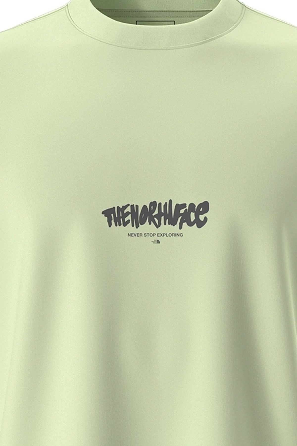 THE NORTH FACE U NSE RELAXED SS TEE en color VERDE (4)
