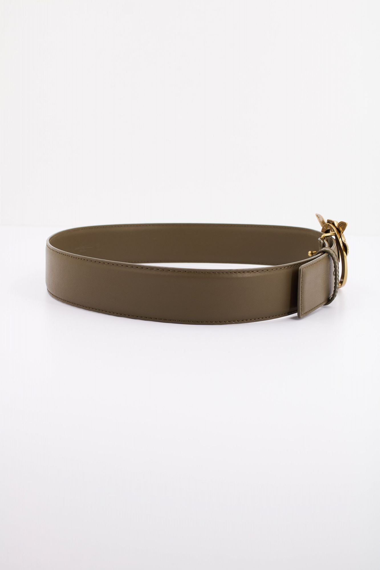 PINKO LOVE BERRY H4 BELT VITE en color VERDE (2)