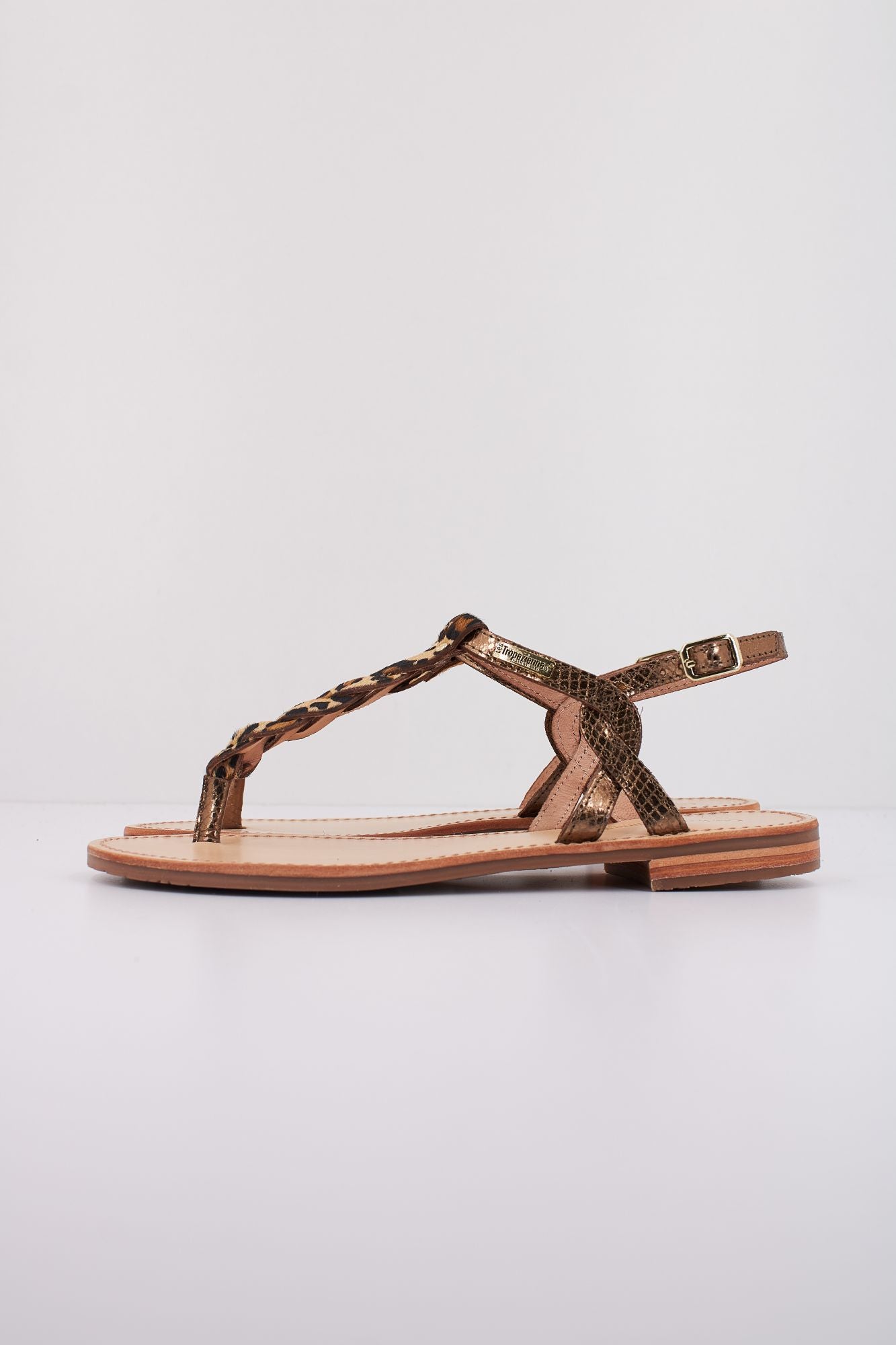 LES TROPEZIENNES C330777HAMSONGP en color ANIMAL PRINT (1)