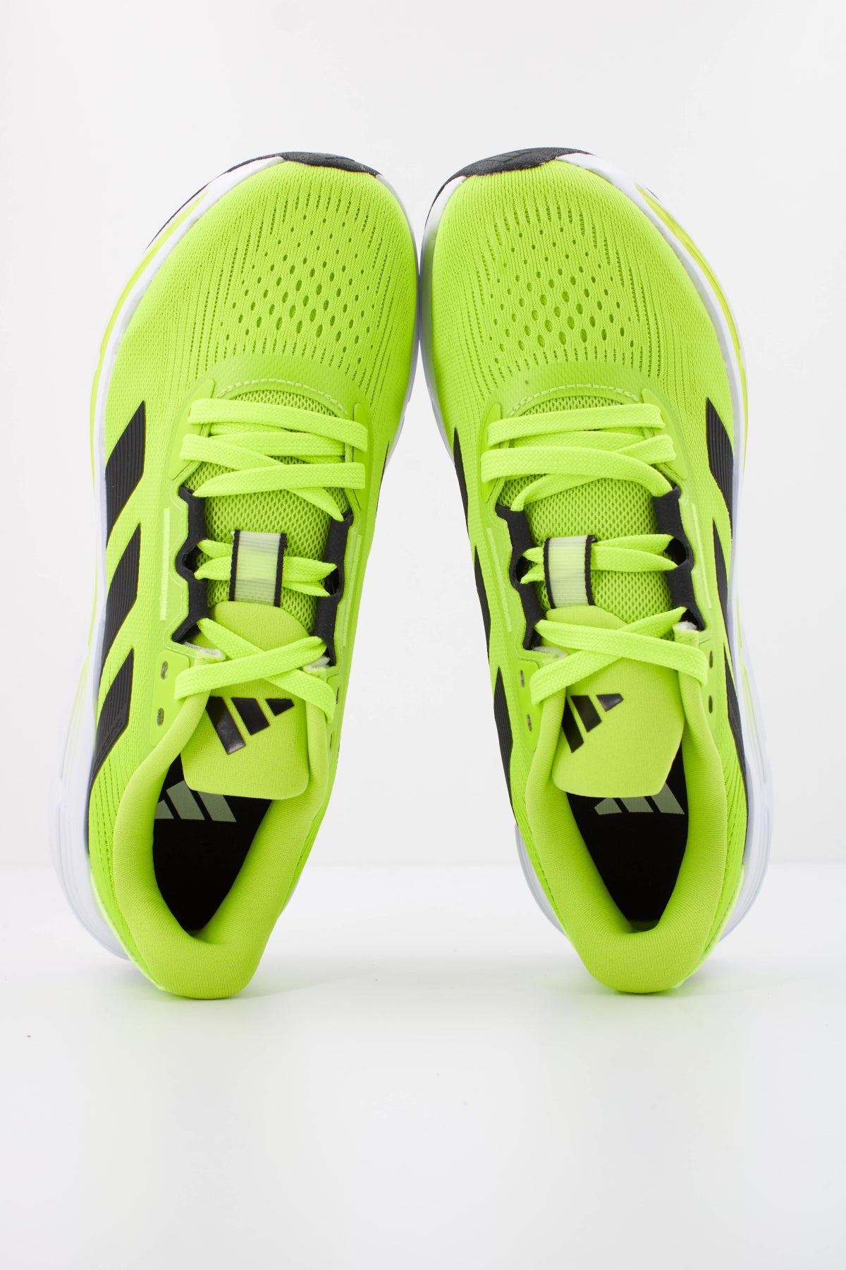 ADIDAS QUESTAR 3 M en color VERDE (3)