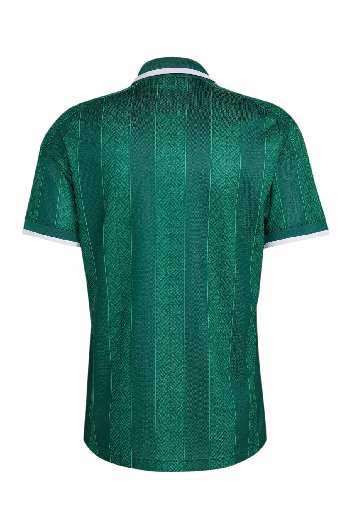 ADIDAS Camiseta Sudáfrica 26 en color VERDE (2)