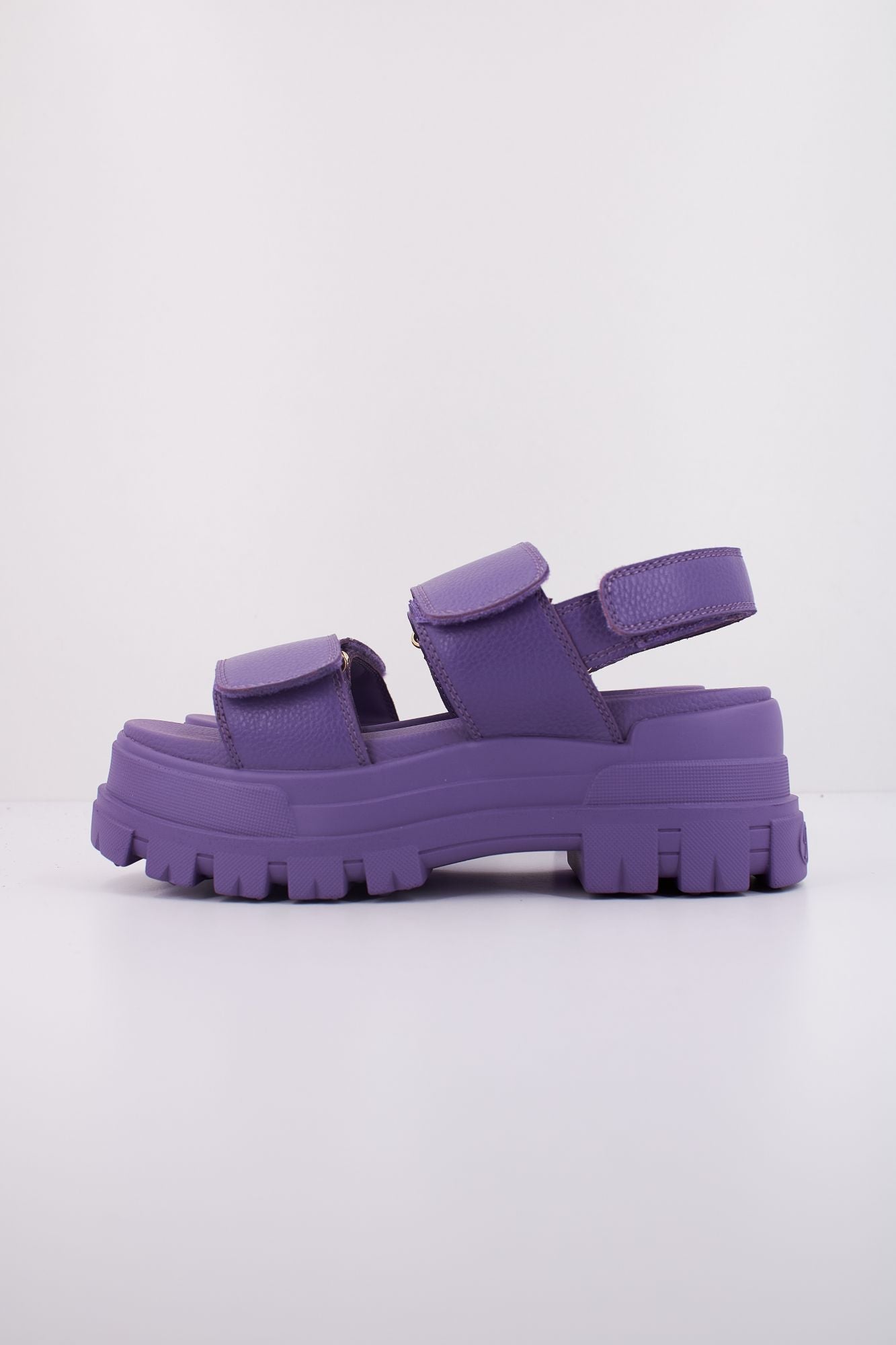 BUFFALO  ASPHA SND en color VIOLETA (1)