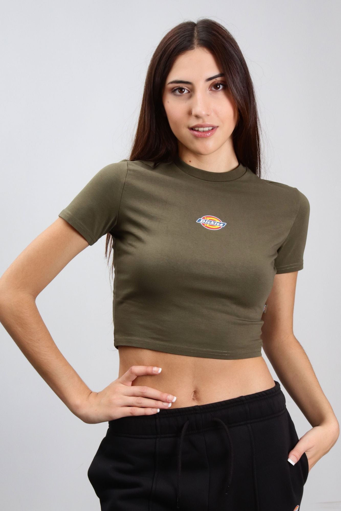 DICKIES  MAPLE VALLEY TEE en color VERDE (4)