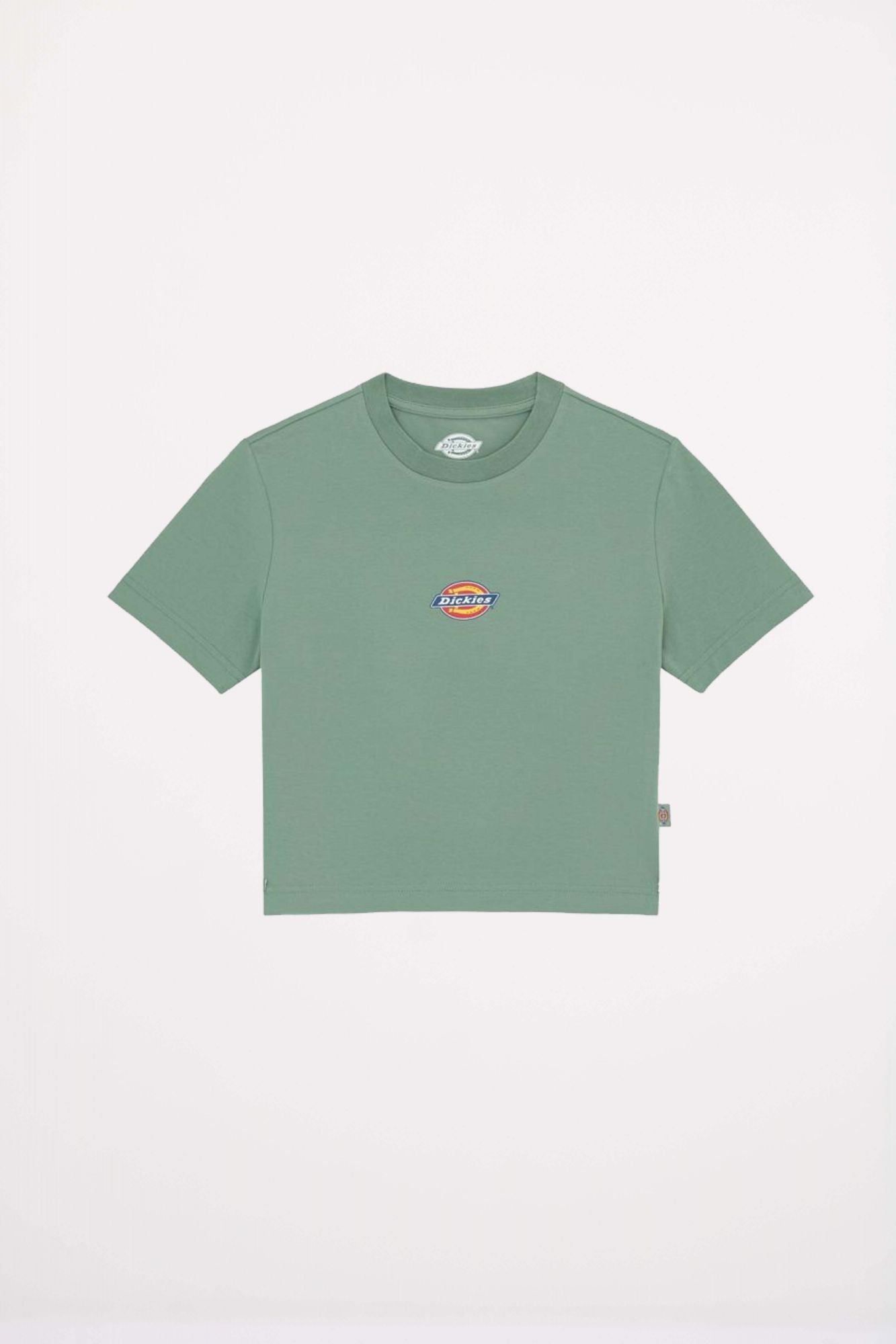 DICKIES  MAPLE  en color VERDE (2)