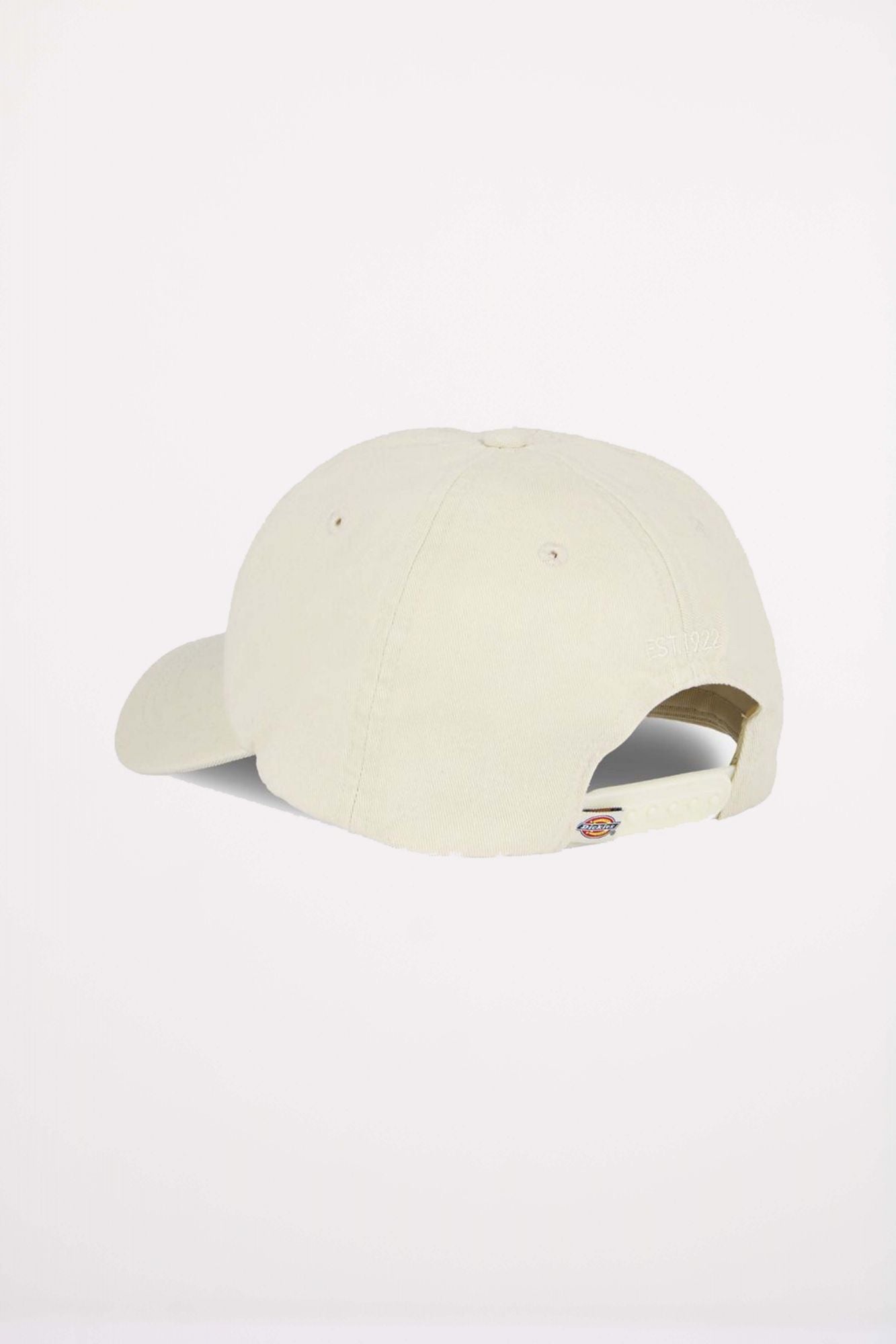 DICKIES HARDWICK en color BEIS (2)