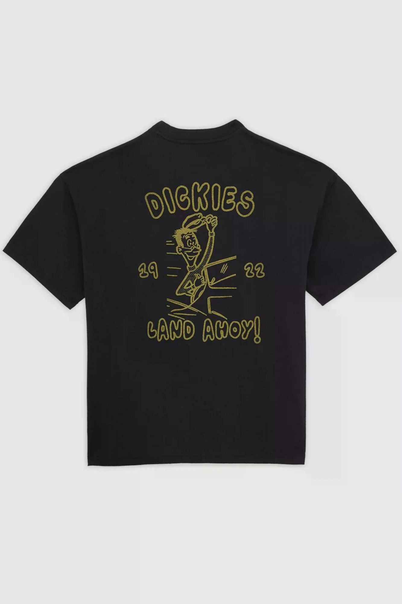DICKIES DECARTUVILLE en color NEGRO (2)
