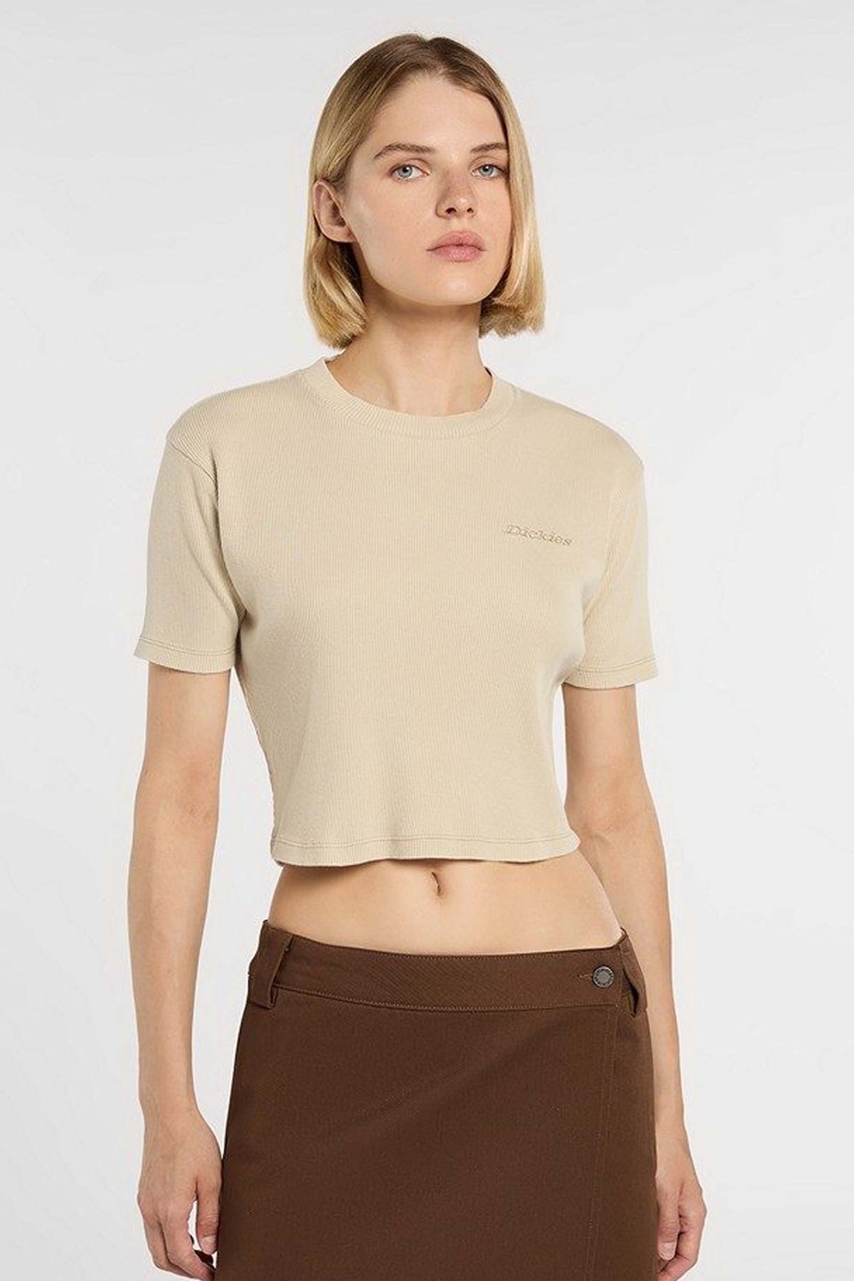 DICKIES PLENTYWOOD SS TEE en color MARRON CLARO (1)