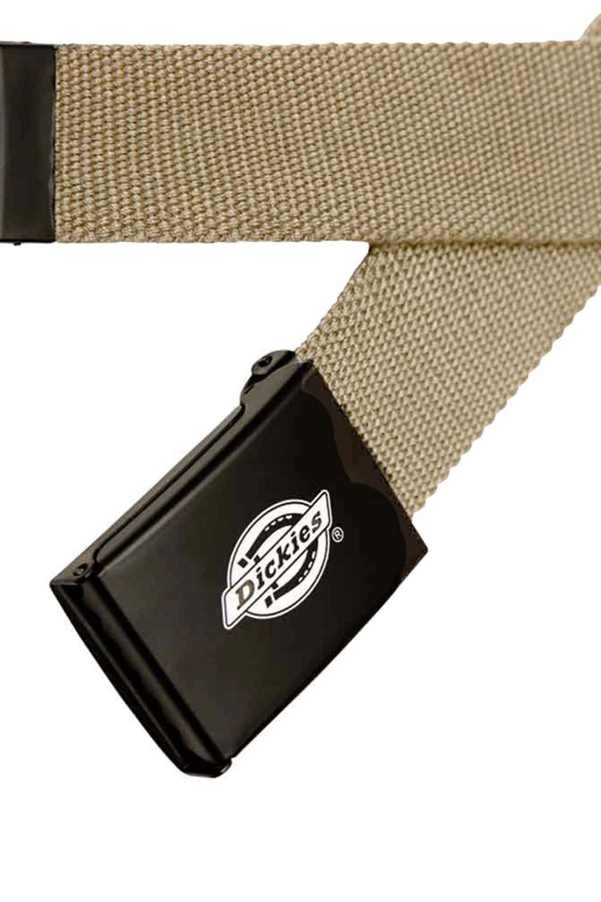 DICKIES BELT en color BEIS (2)