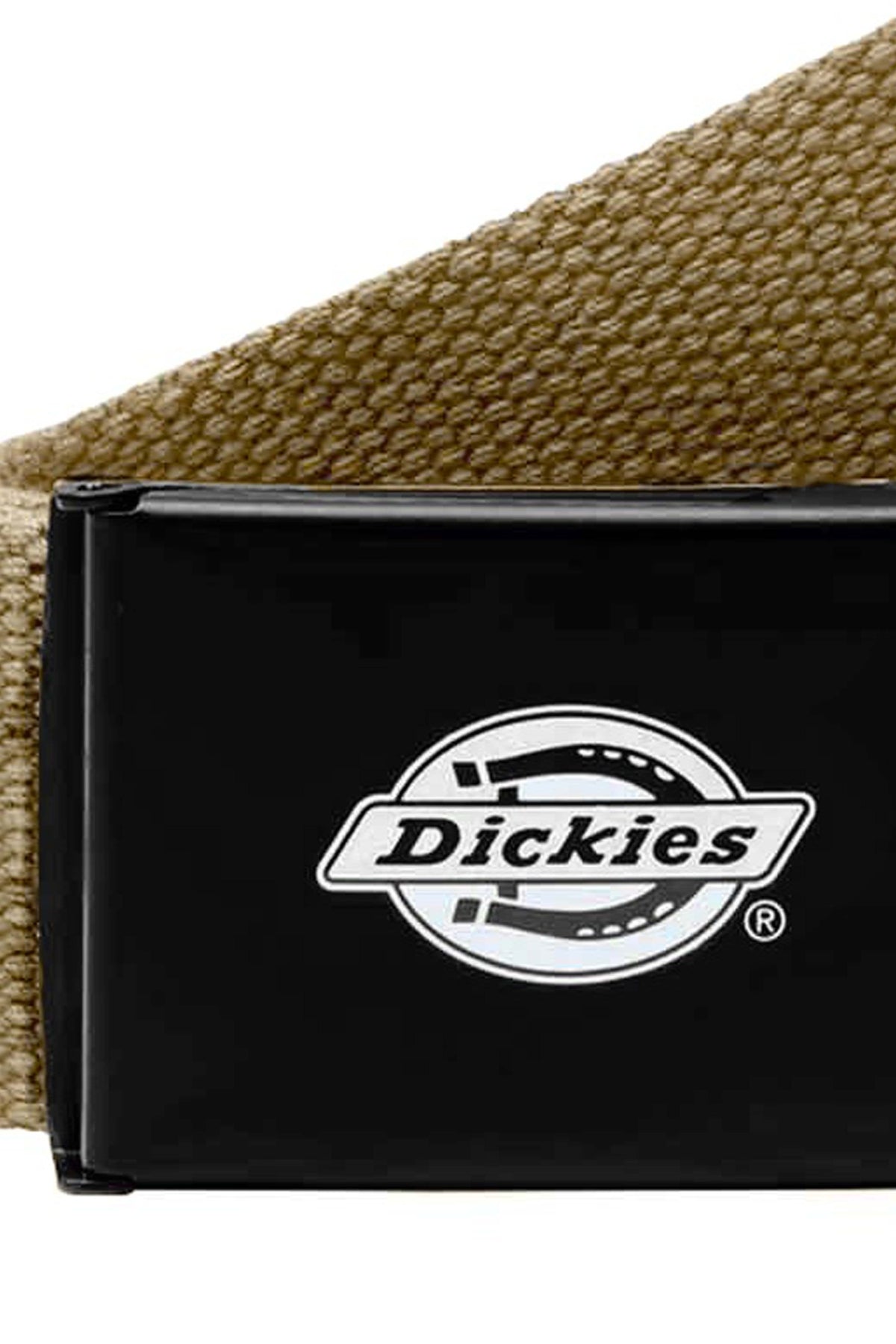 DICKIES BELT en color BEIS (3)
