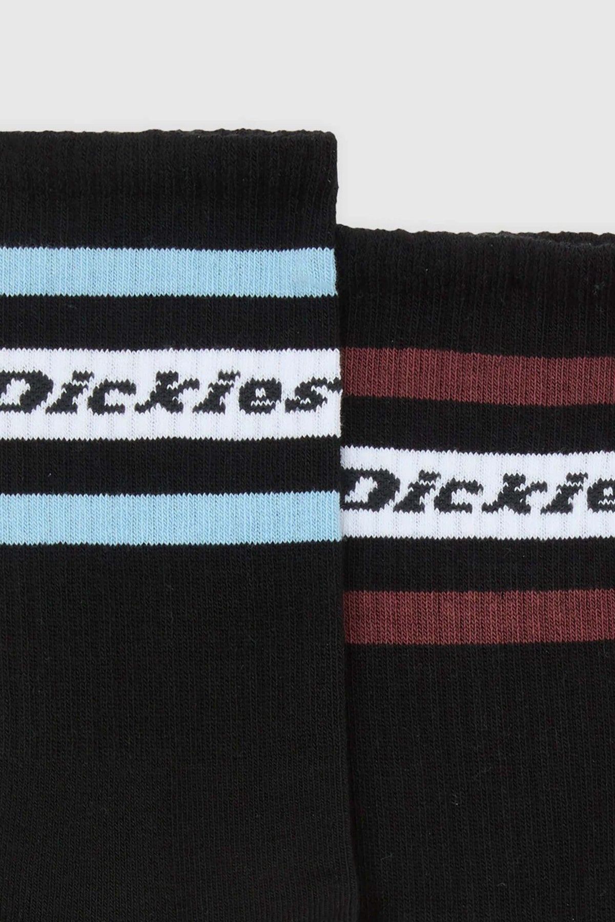 DICKIES DK0A4XDKL251  en color NEGRO (2)