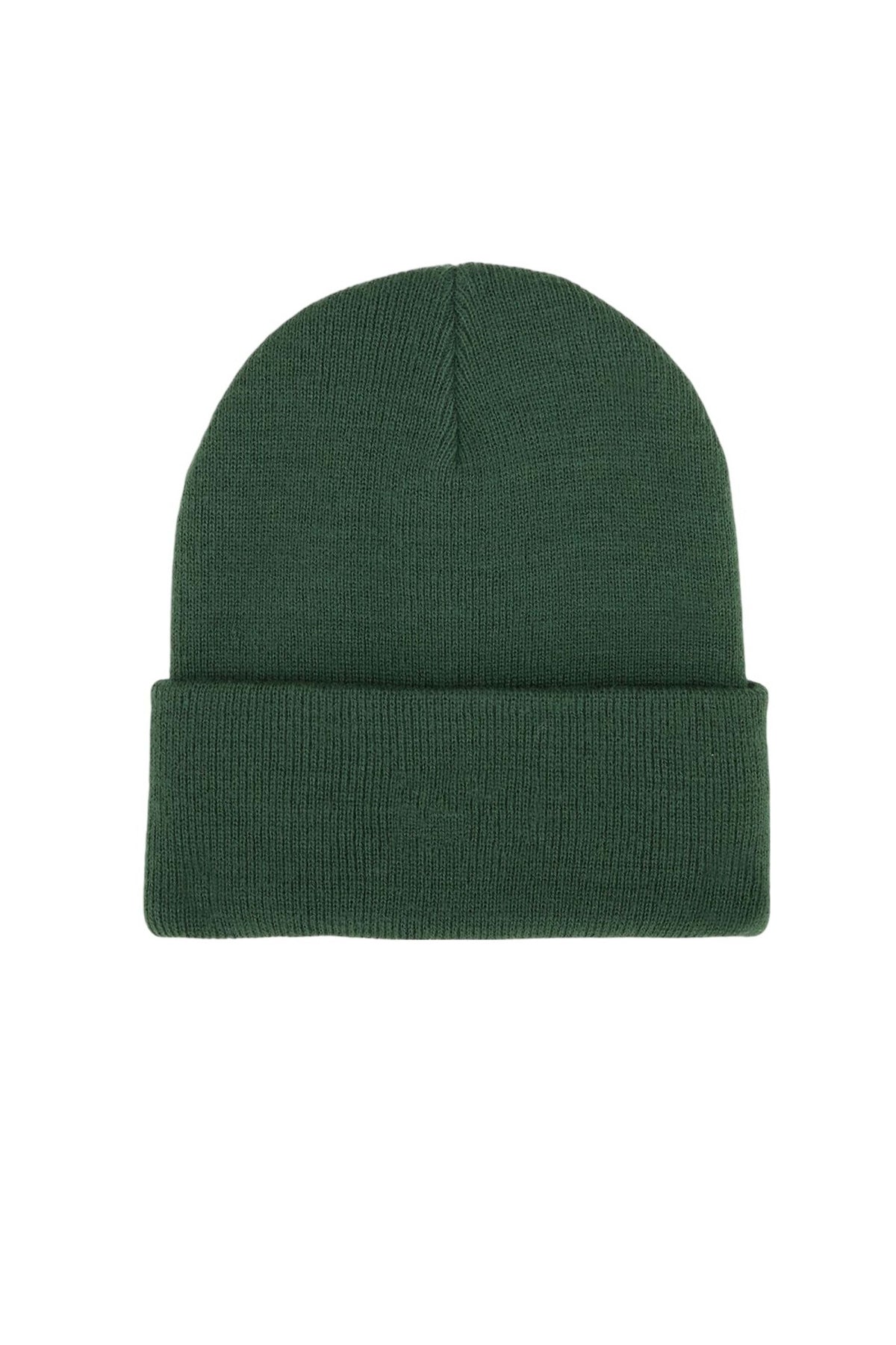 DICKIES GIBSLAND BEANIE  en color VERDE (2)