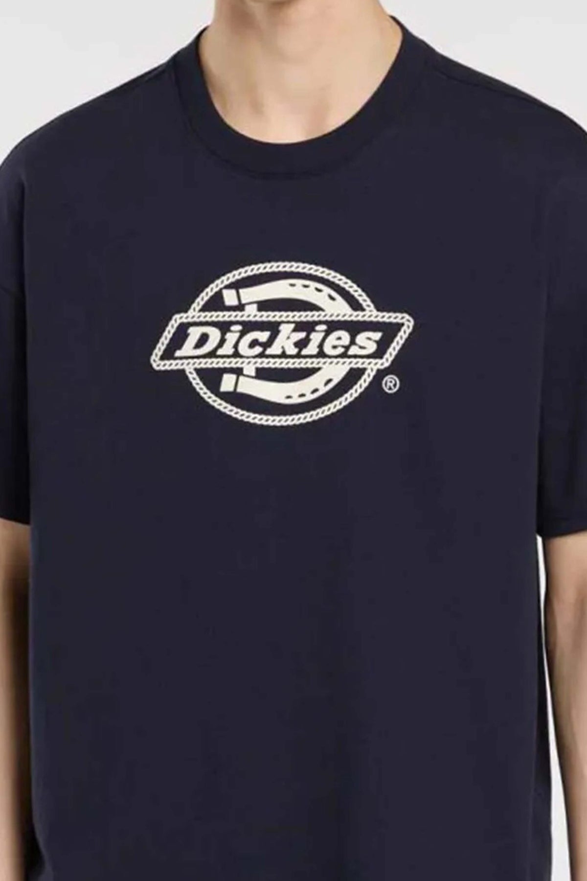 DICKIES DK0A87QSL181  en color AZUL (2)