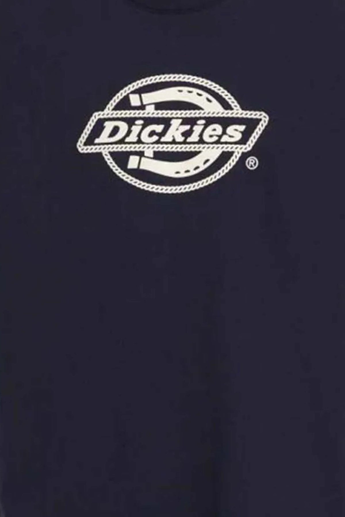 DICKIES DK0A87QSL181  en color AZUL (3)