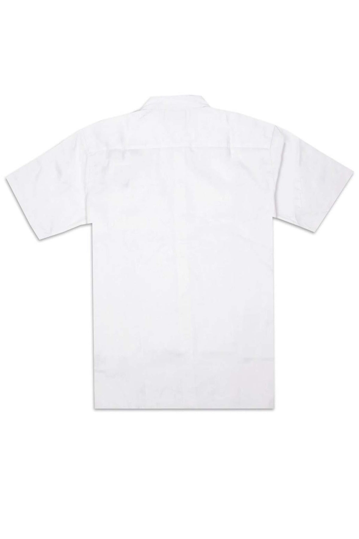 DICKIES CLINTONDALE REC en color BLANCO (2)