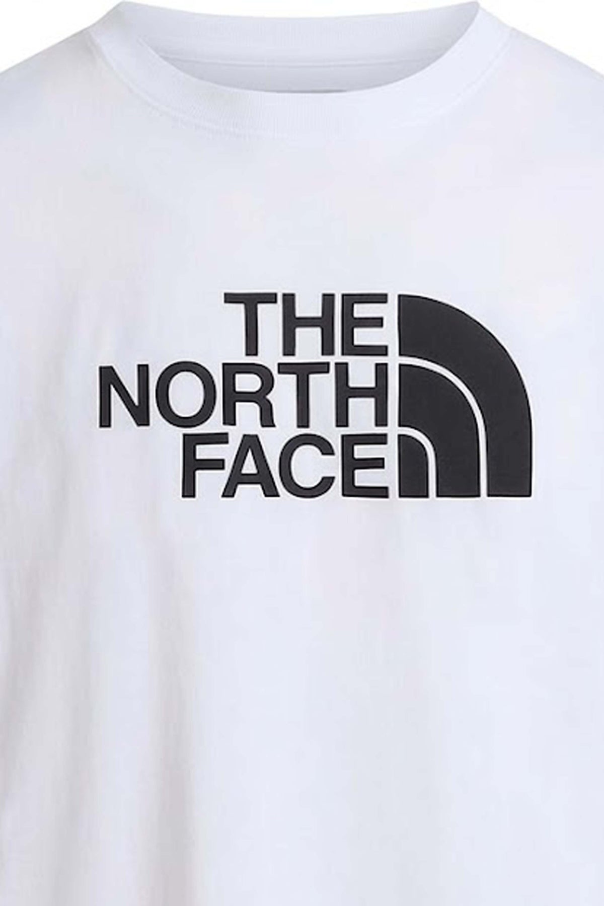 THE NORTH FACE CAMISETA M EVOLUTION H en color BLANCO (3)
