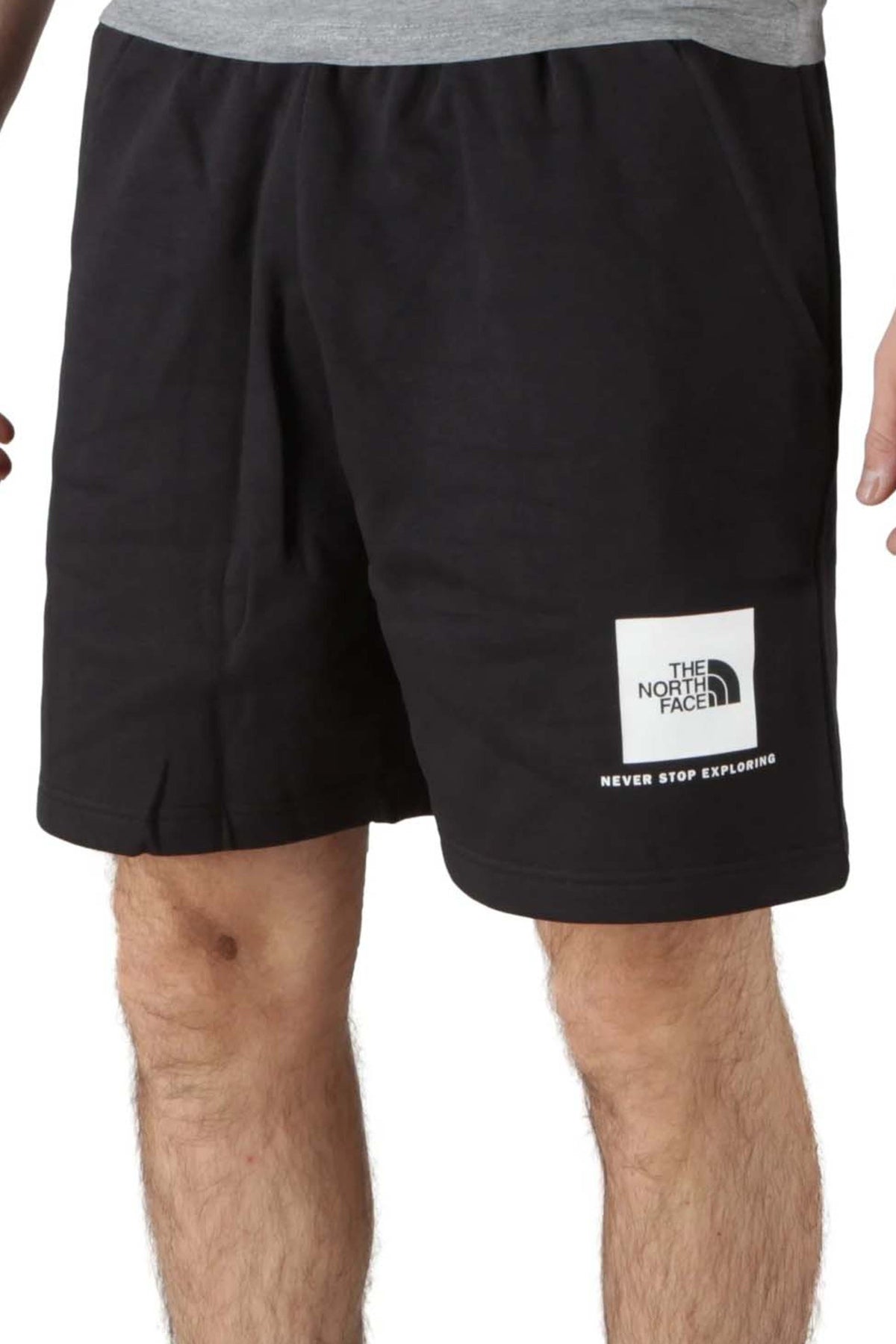 THE NORTH FACE SHORTS en color NEGRO (1)