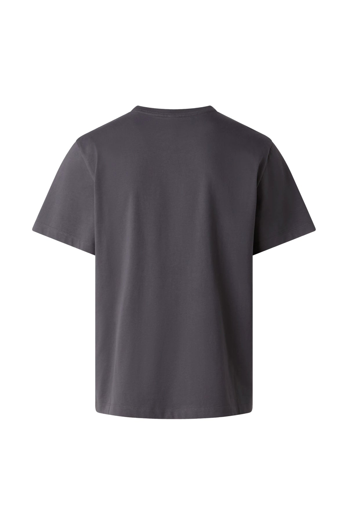 THE NORTH FACE M ESSENTIAL en color GRIS (2)