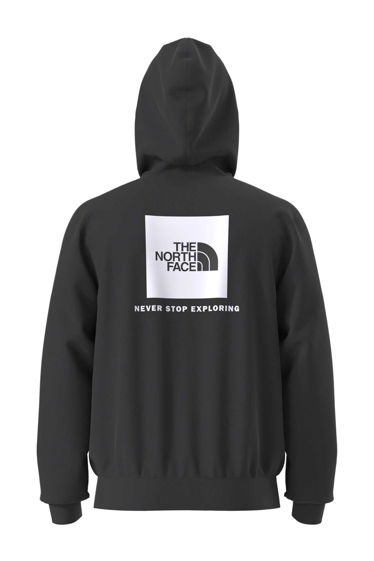 THE NORTH FACE M EVO BOX NSE REG HD en color  (2)