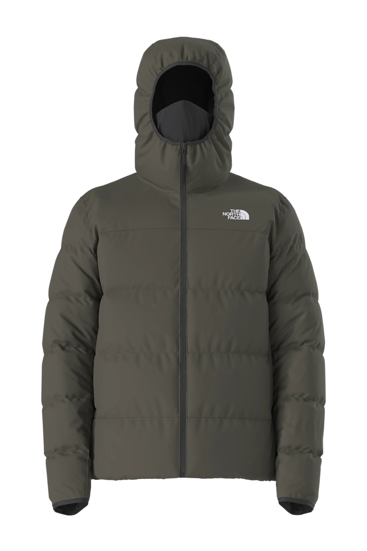 THE NORTH FACE M NSE HOODED MASK JKT en color  (1)