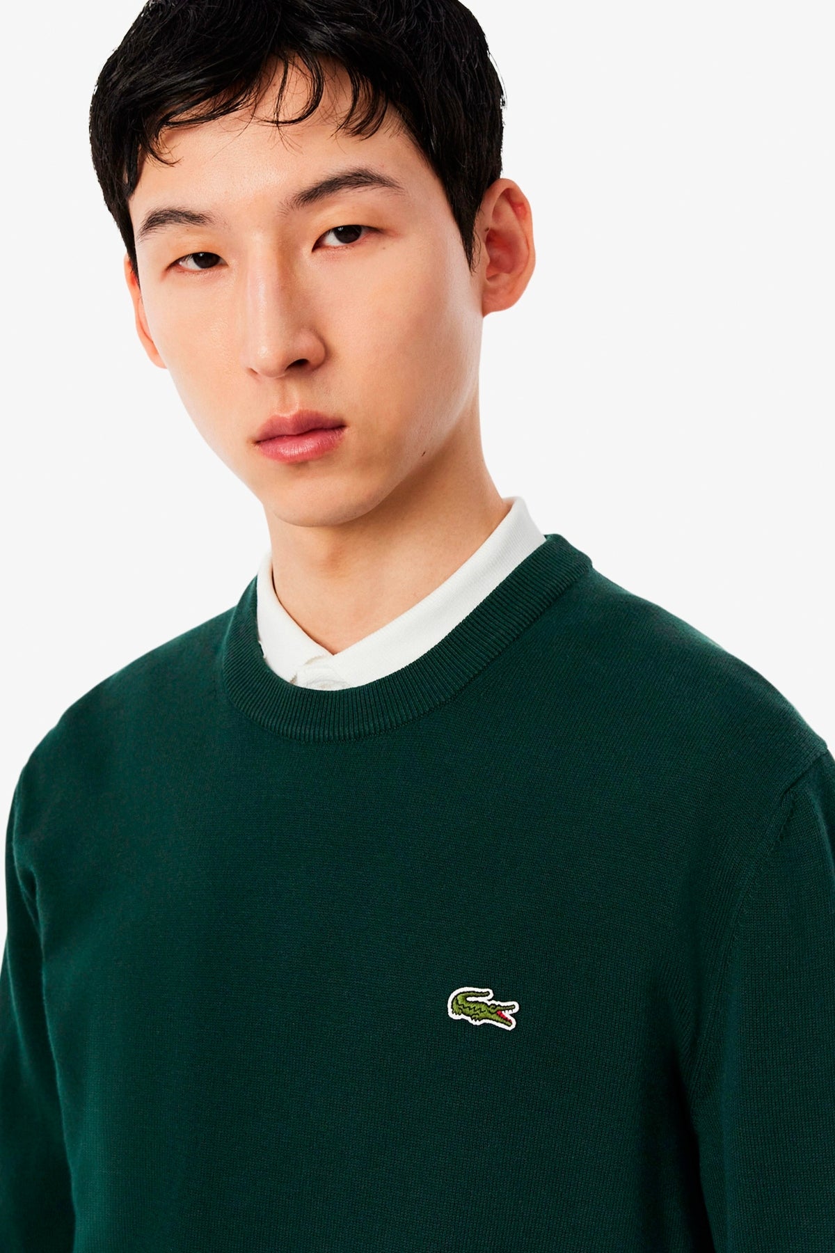 LACOSTE AH1985 CREWNECKS SWEATERS en color VERDE (6)