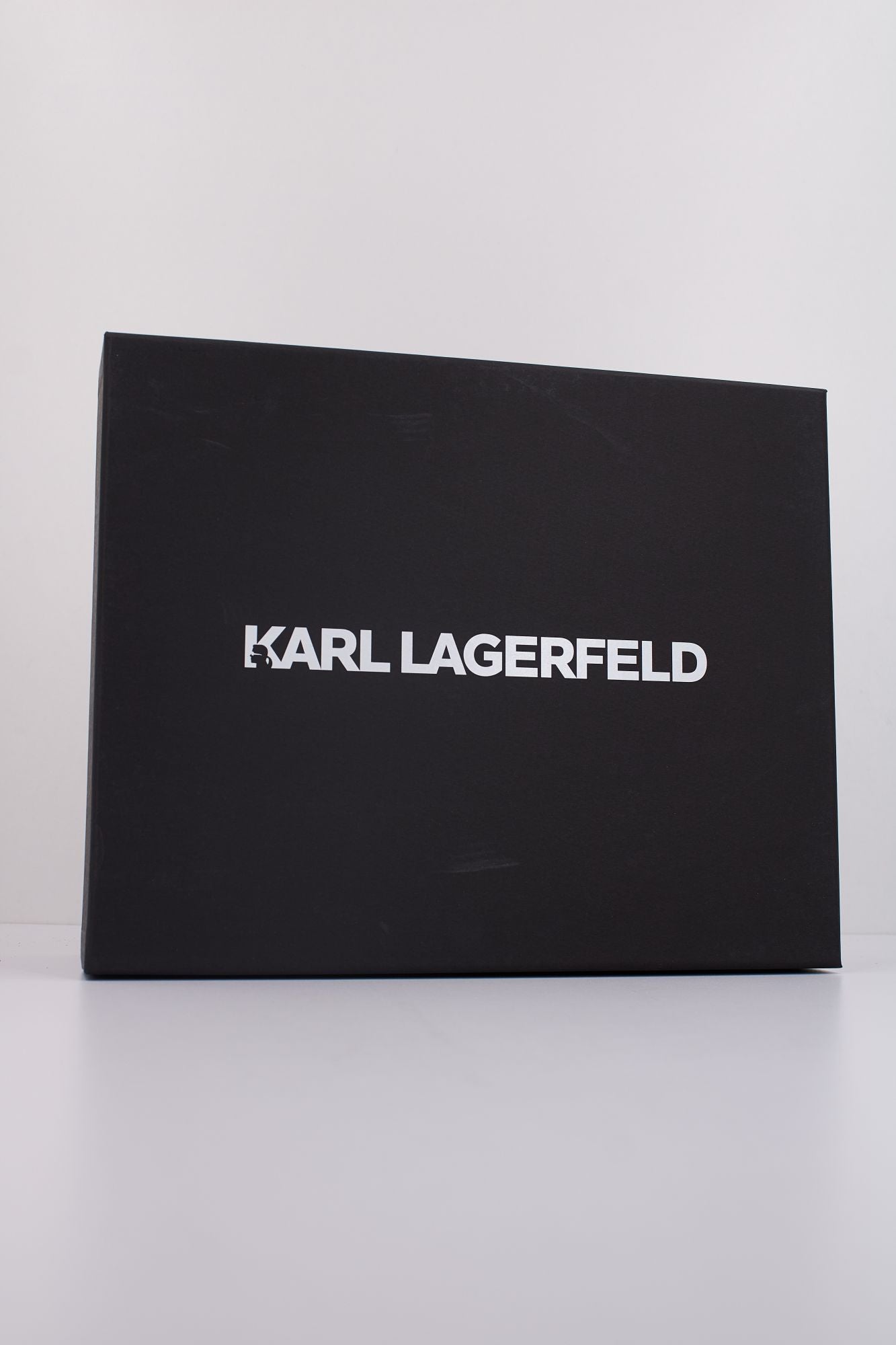 KARL LAGERFELD KAPRI NFT PLEXI PENDANT en color BLANCO (6)