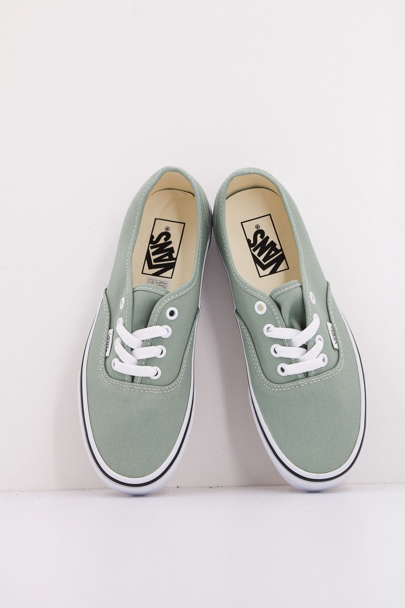 VANS AUTHENTIC COLOR THEORY en color VERDE (3)